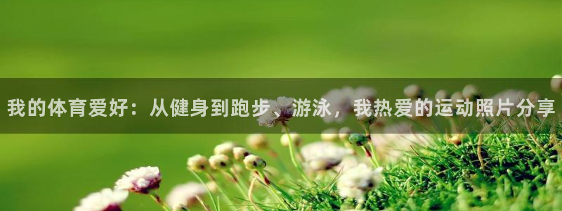 喜乐在线4代理：我的体育爱好：从健身到跑步、游泳，我热爱的运动照片分享