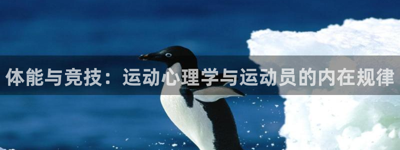 喜乐在线平台开户链接