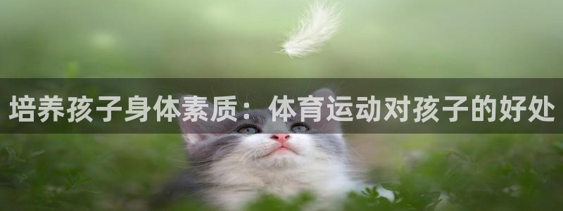 喜乐在线体育合法嘛：培养孩子身体素质：体育运动对孩子的好处