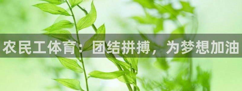 意昂3注册：农民工体育：团结拼搏，为梦想加油