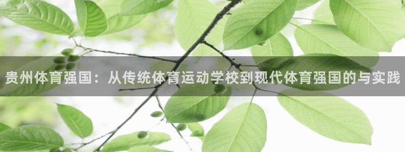 意昂体育3：贵州体育强国：从传统体育运动学校到现代体育强国的与实践