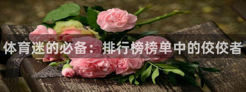 喜乐在线体育热门赛事有哪些：体育迷的必备：排行榜榜单中的佼佼者