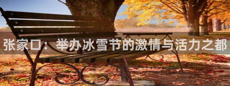 喜乐在线平台：张家口：举办冰雪节的激情与活力之都