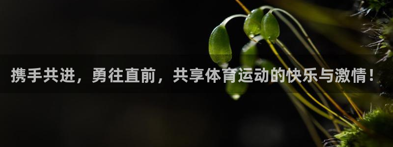 意昂3注册：携手共进，勇往直前，共享体育运动的快乐与激情！