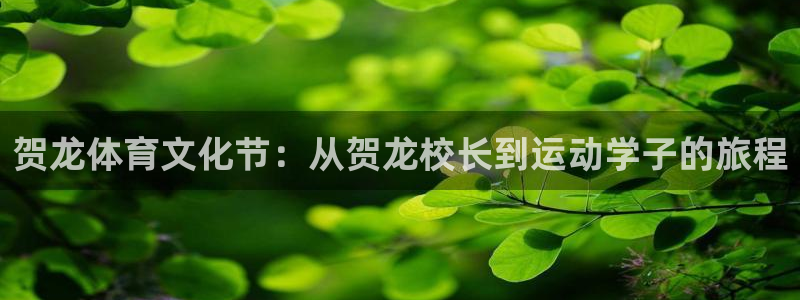 喜乐在线体育和杏耀是哪个公司的：贺龙体育文化节：从贺龙校长到运动学子的旅程