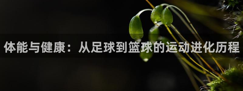 喜乐在线官网：体能与健康：从足球到篮球的运动进化历程