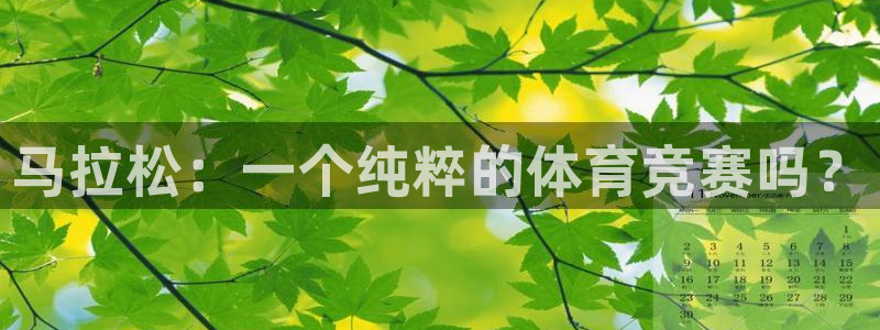 喜乐在线体育网页版入口