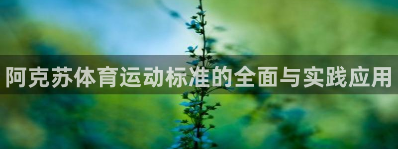 喜乐在线登录注册：阿克苏体育运动标准的全面与实践应用