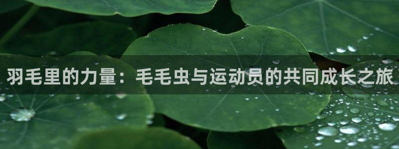 喜乐在线vk