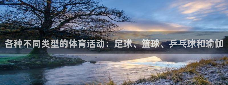 喜乐在线体育和杏耀是哪个公司的：各种不同类型的体育活动：足球、篮球、乒乓球和瑜伽