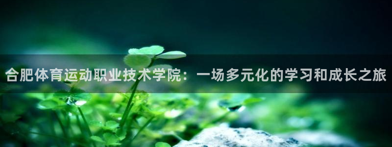意昂5平台