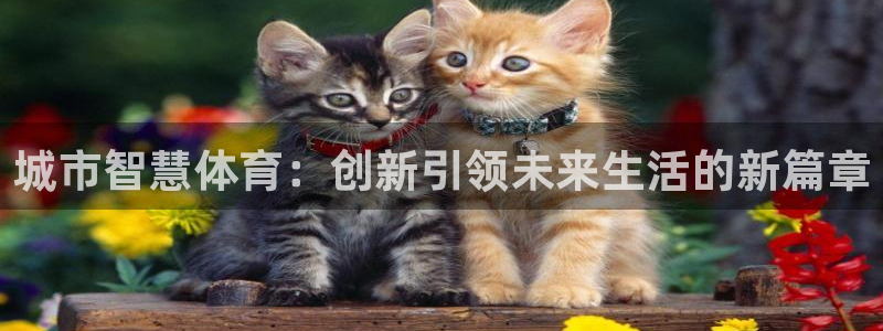 喜乐在线：城市智慧体育：创新引领未来生活的新篇章