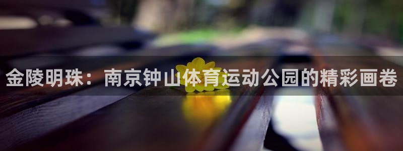 意昂3注册：金陵明珠：南京钟山体育运动公园的精彩画卷