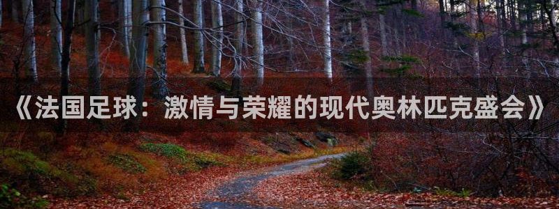 意昂代理：《法国足球：激情与荣耀的现代奥林匹克盛会》