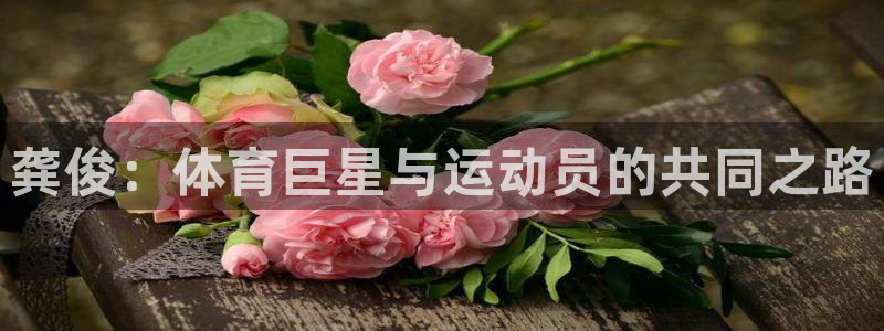 北京意昂科技有限公司：龚俊：体育巨星与运动员的共同之路